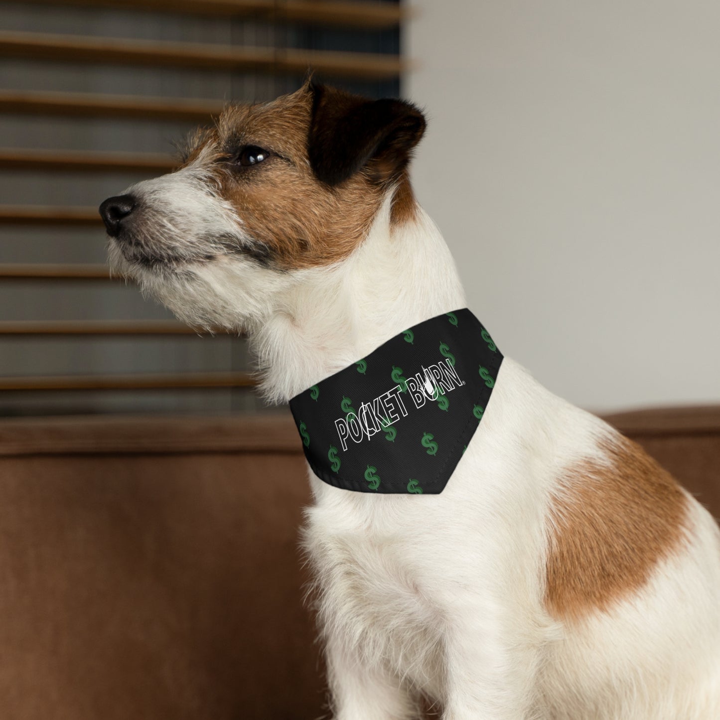 Pocket Burn Money Sign Pet Bandana Collar