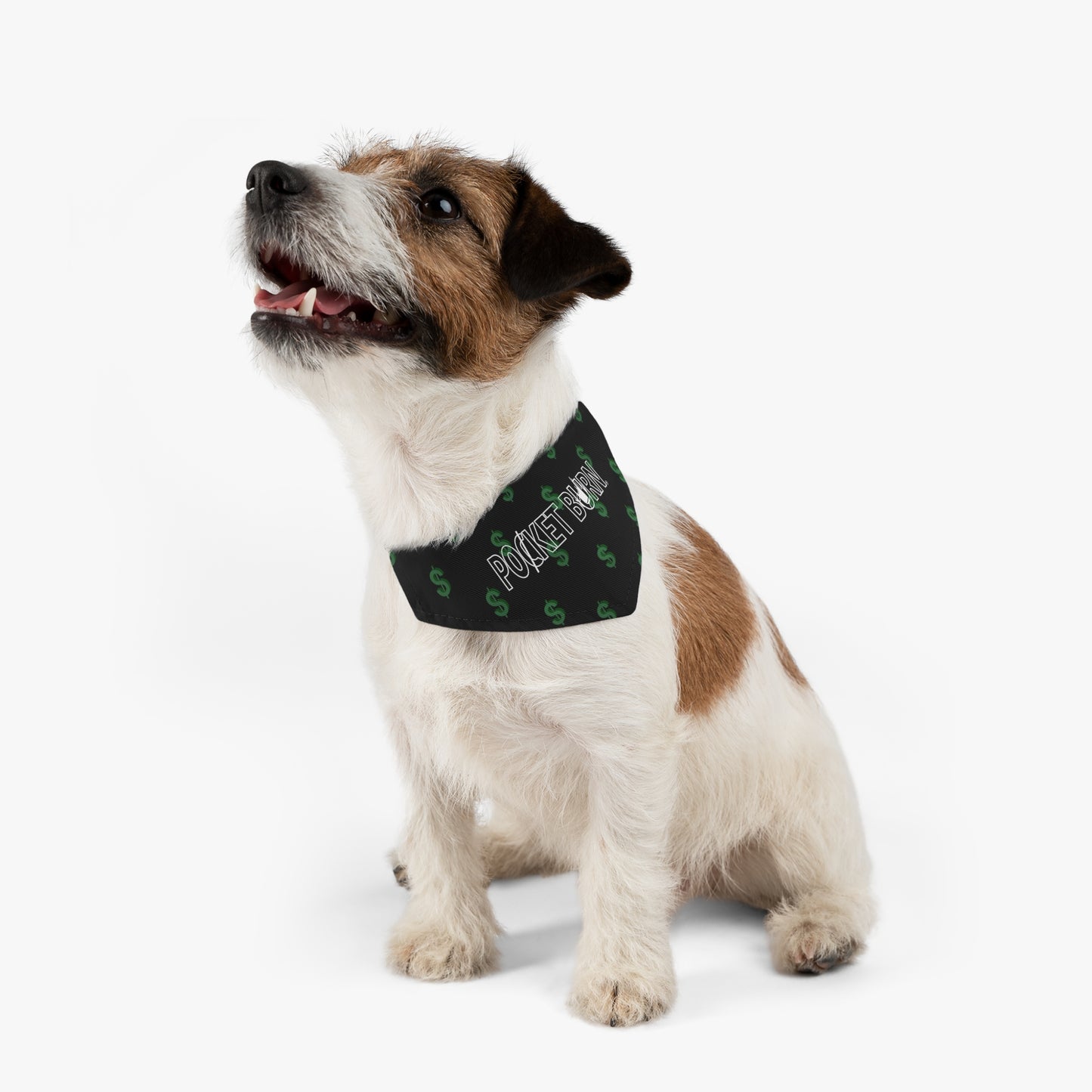 Pocket Burn Money Sign Pet Bandana Collar